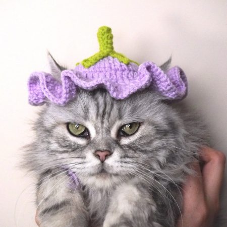 Flower Hat Crochet Hat for Cat or Puppy, Crochet Eggplant Hat Pattern for Cats and Dogs, Cat Clothing Cat Accessories | Pet Christmas Outfits