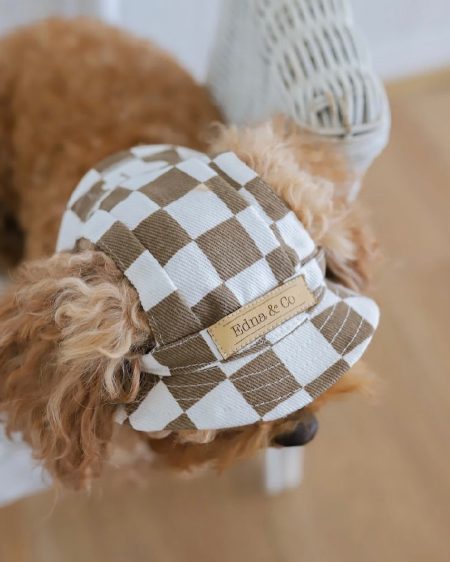 Dog Hat | Bucket Hat | Puppy Hat | Dog Visor | Sun Protection Cap | Travel Hat for Dog Cat Pet | Hats for Dogs