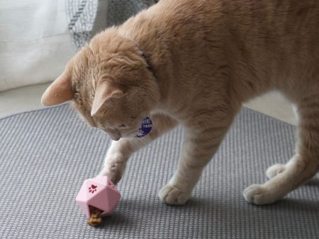 D20 Treat Dispenser for Cats, Slow Feeder Cat Toy, Upgraded, Adjustable Hole Size from Beginner to Expert Level