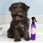 8 oz Pet Spray Choose a Scent