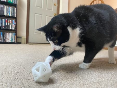D20 Cat Treat Toy