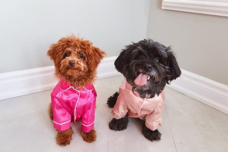 Pet Pajamas for Dogs and Cats in Red, Green, Pink and Blue Satin | Perfect Dog Mom Gift | Pet Gifts | Dog Clothing | Cute Pet Clothing