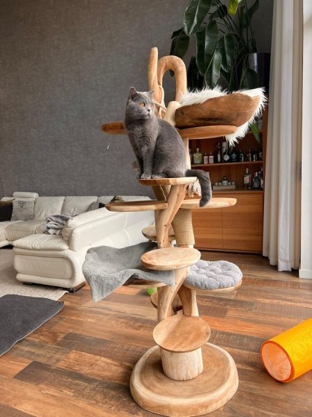 Wooden Cat Tree – Handmade Natural Branch Cat Tower – Indoor Cat Shelf Furniture – Unique Pet Tree for Living Room Decor